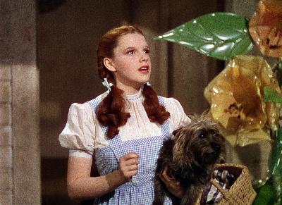 We're Not in Kansas Anymore