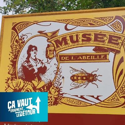 Esneux vaut vraiment le Détour (1) : Pikachu, Winnie l’Ourson, Paradis-sur-Ourthe et Musée de l’Abeille