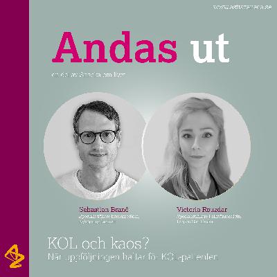 Andas ut: KOL och kaos? När uppföljningen haltar för KOL-patienten.