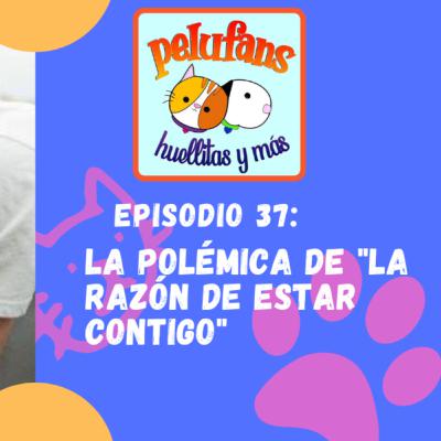 E37|La Polémica de "La razón de estar contigo"| Pelufans, Huellitas y Más
