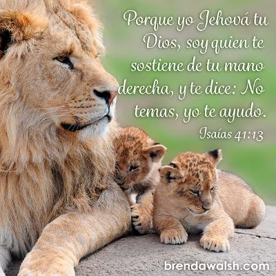Isaías 41 No temas, porque Yo estoy contigo; no te he desechado; no tengas miedo, porque yo soy tu Dios. Te fortaleceré y te ayudaré. Siempre te sustentaré con la diestra de mi justicia