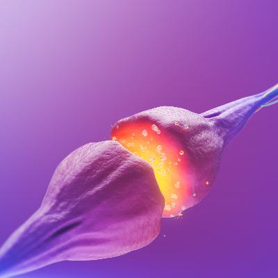 #43 - The Mirrors in You [Cosmic Dynamics]