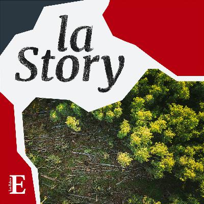 Comment va réellement la forêt ? Comment va réellement la forêt ?