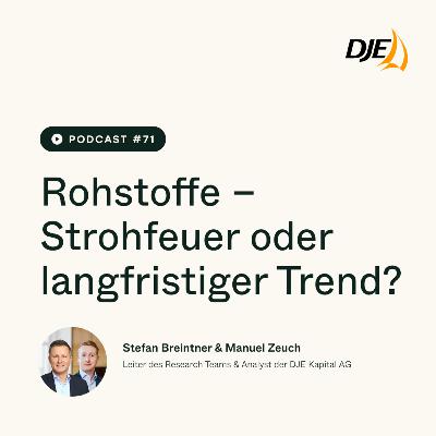 Rohstoffe: Strohfeuer oder langfristiger Trend? Rohstoffe: Strohfeuer oder langfristiger Trend?