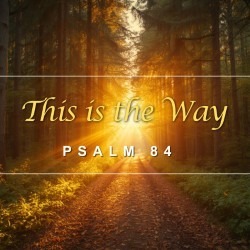 This is the Way episode artwork