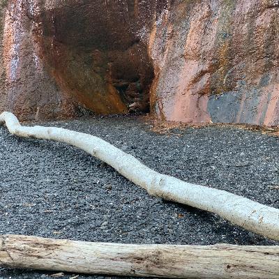 MUS: Natural Soundscape - Ocean Cave Dripping MUS: Natural Soundscape - Ocean Cave Dripping