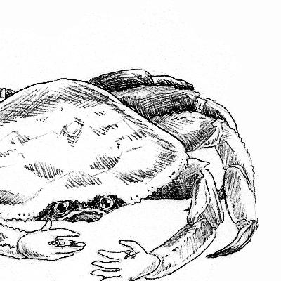 82 - The Chariot / The Star; A Hunger for Guidance 82 - The Chariot / The Star; A Hunger for Guidance