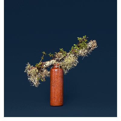 Conversations with New Zealand Photographers - Ann Shelton (av) Conversations with New Zealand Photographers - Ann Shelton (av)