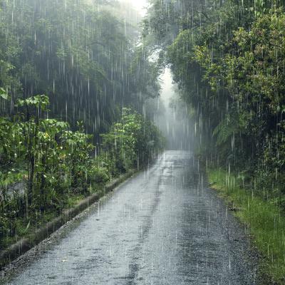 8 horas de solo sonido de lluvia fuerte para dormir. 8 horas de solo sonido de lluvia fuerte para dormir.