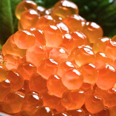 【築地年末】何もかも高い年末…でも食べたい！元築地仲買人が教える『賢い魚の買い方』