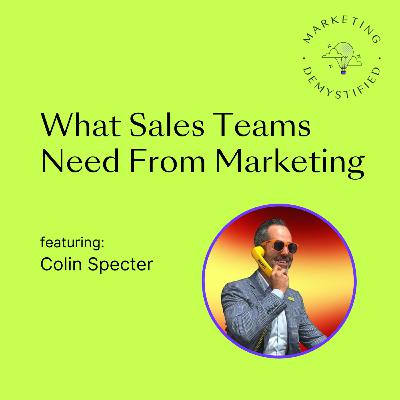 73: What Sales Teams Need from Marketing (And Why Most Get It Wrong) 73: What Sales Teams Need from Marketing (And Why Most Get It Wrong)