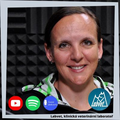 Otazníky kolem nemocí přenášených klíšťaty