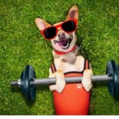 Exercise for dogs Exercise for dogs