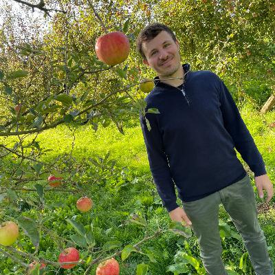 Un domaine propose de cueillir soi-même ses pommes près du Mans