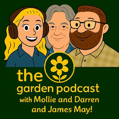 James May and his shed