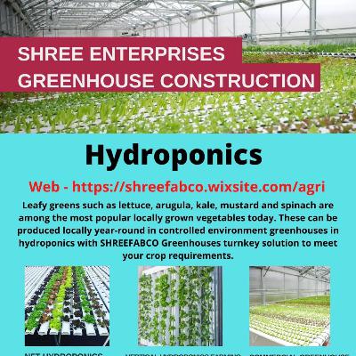 Hydroponics -Grow your Own Vegetables