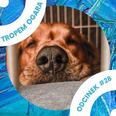 #28 Jak okazywać miłość psu?