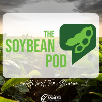 Connecting Soybeans to the World: Dan Nigg on Logistics and Leadership