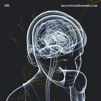 56. Inteligencia emocional (NO es inteligencia)