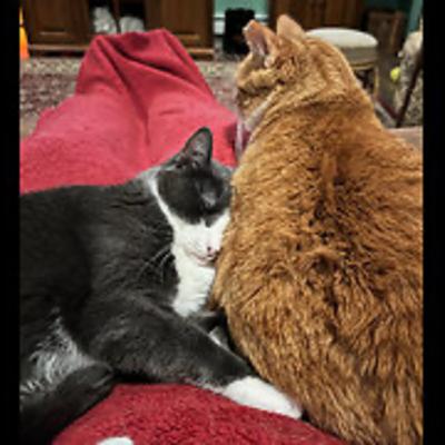 Episode 2985 CWSA 10/11/25