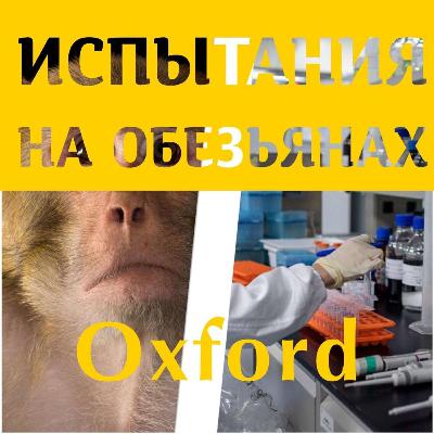 Испытания на обезьянах. Oxford. Испытания на обезьянах. Oxford.