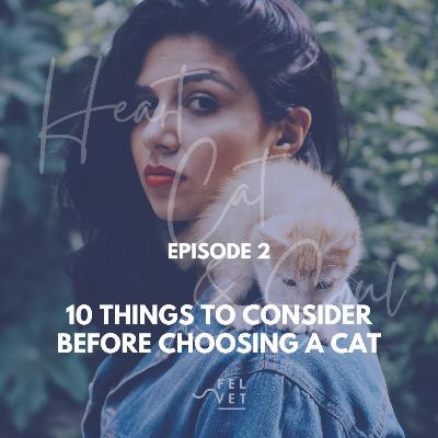 EPISODE 2: 10 Things to Consider Before Choosing a Cat