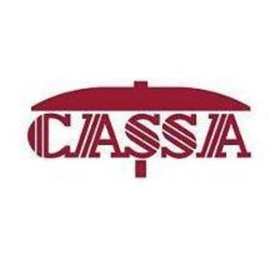 Introducing the Council of Agencies Serving South Asians (CASSA)