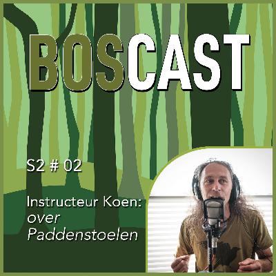 Paddenstoelen-tijd met Koen De Baets