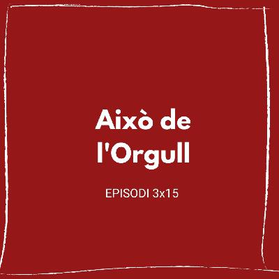 Això de l'Orgull (3x15) Això de l'Orgull (3x15)