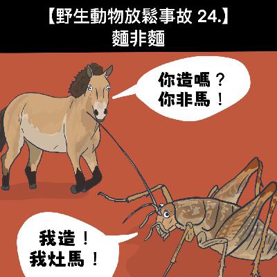 野生放鬆事故24. 麵非麵 野生放鬆事故24. 麵非麵