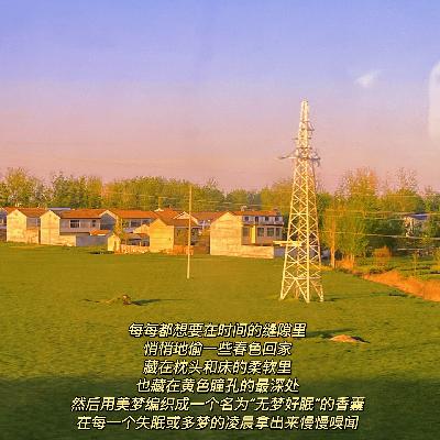 人好猫也好，五一怎么过更好？宅家读书听音乐，静享时光也挺好