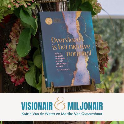 Online boeklancering: Overvloed is het nieuwe normaal, 7 sleutels voor Joy, Ease & Abundance