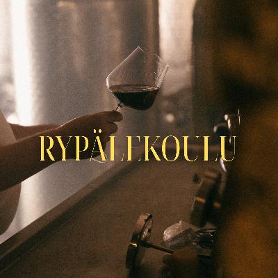 Rypälekoulu: Cabernet Sauvignon