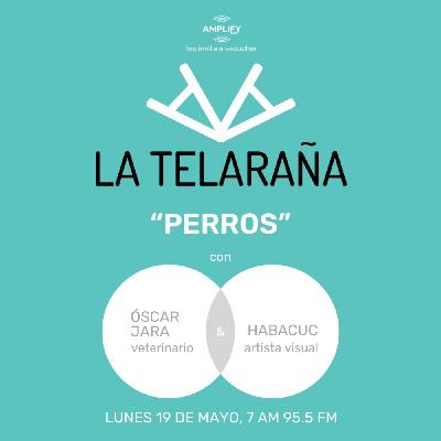 Perros