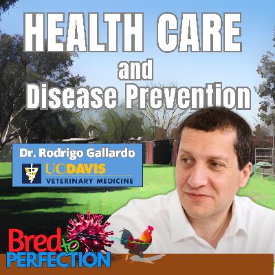 Ep268 – Avian Influenza & Biosecurity: What Every Poultry Breeder Must Know