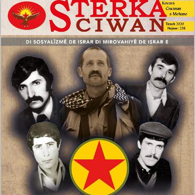 What Experts Don't Want You to Know About OKlahoma's Playoff Chances