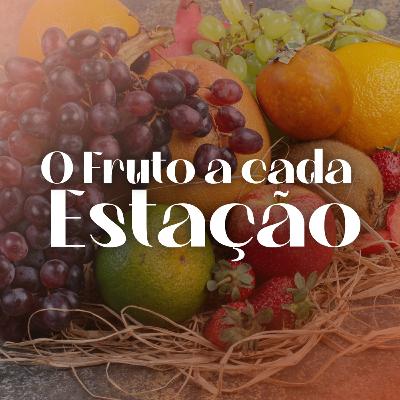 O fruto de cada estação