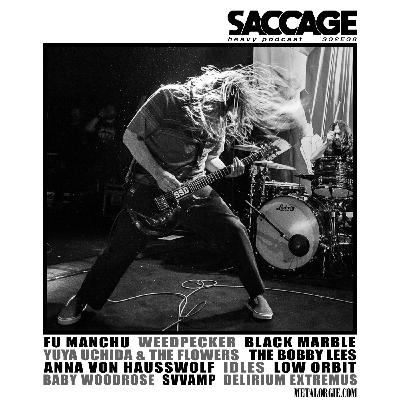 SACCAGE S02E08 Accompagner la Bûche