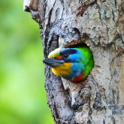 オンラインサロン講演・台湾7days（2021年4月11日）