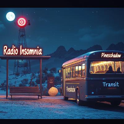 Radio Insomnia #025 - "The 4:04" (The Pineshadow Transit Company)