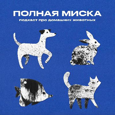 Полная миска | Питомцы будущего