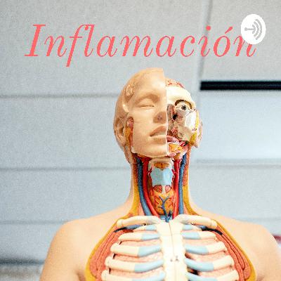 Inflamación ⚠️