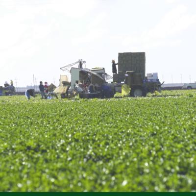 Chemical reduction innovation for food preservation and processing