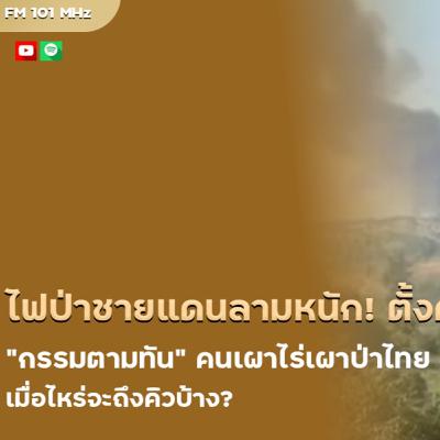 ไฟป่าชายแดนลามหนัก! ตั้งคำถาม “กรรมตามทัน” คนเผาไร่เผาป่าไทย เมื่อไหร่จะถึงคิวบ้าง? ไฟป่าชายแดนลามหนัก! ตั้งคำถาม “กรรมตามทัน” คนเผาไร่เผาป่าไทย เมื่อไหร่จะถึงคิวบ้าง?