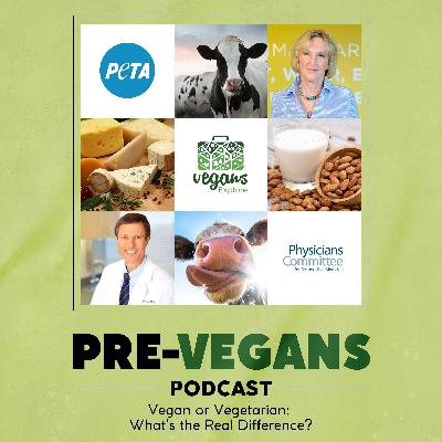 Vegan or Vegetarian: What’s the Real Difference? Vegan or Vegetarian: What’s the Real Difference?