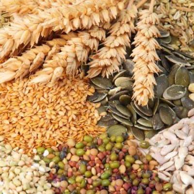Procesamiento de granos y cereales