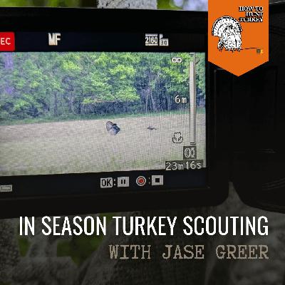 In Season Turkey Scouting In Season Turkey Scouting