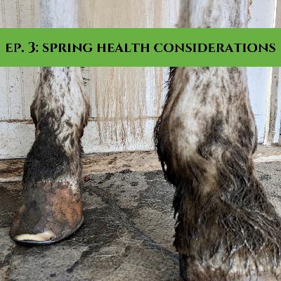 Ep. 3 Spring Health Considerations