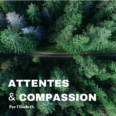 Attentes et compassion- Alléger l'esprit