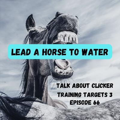 Talk about clicker training targets; when to use a target
